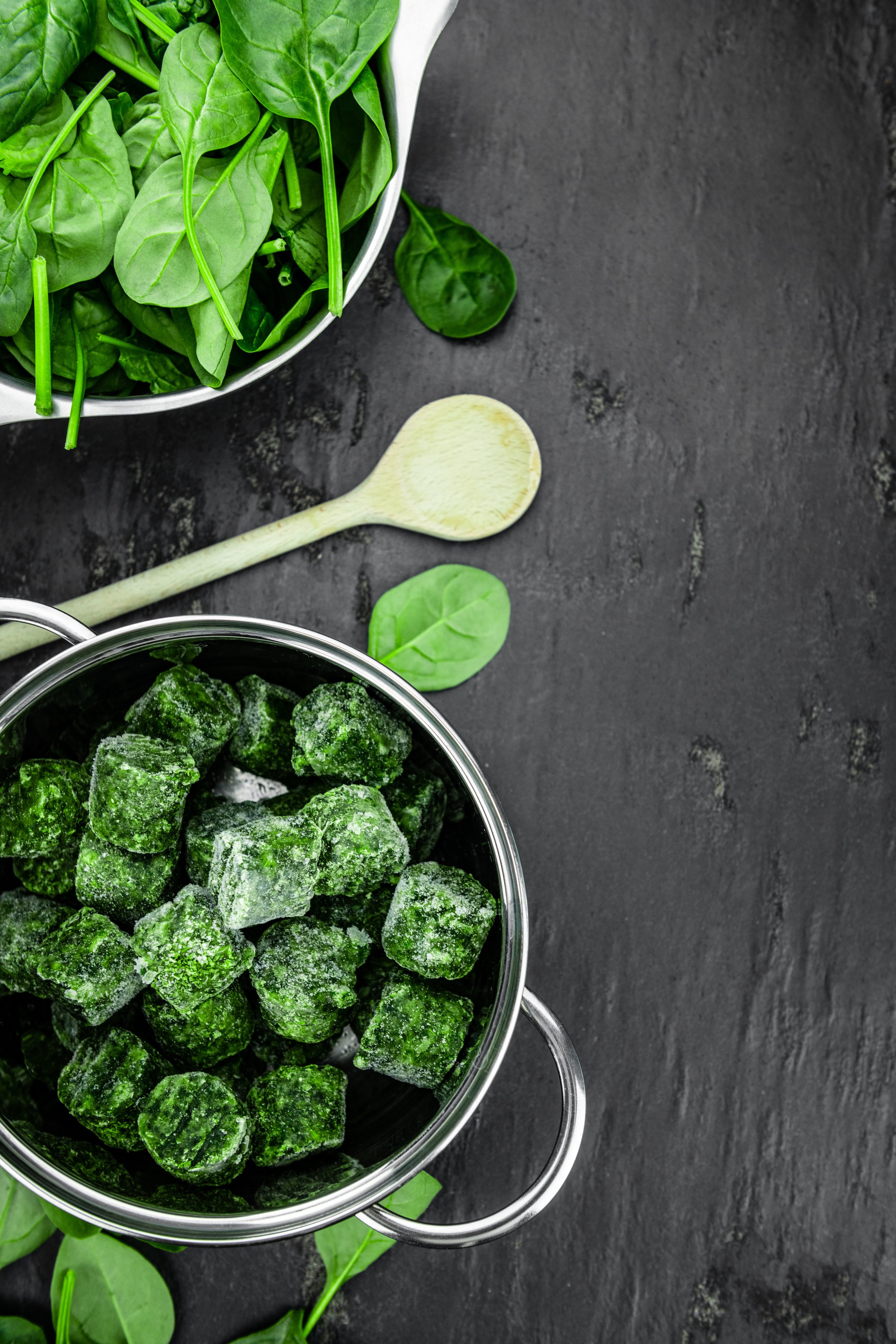 Frozen spinach cubes (close up; selective focus)